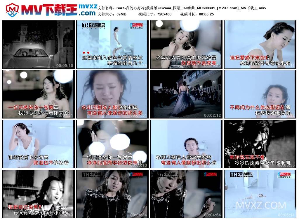 Sara-我的心好冷(欣赏版)932444_国语_DJ嗨曲_MC600391